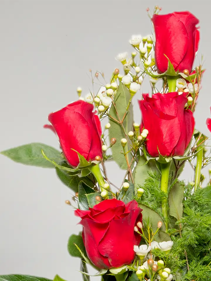 Nove rose rosse gambo medio lungo dettagli